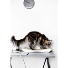 Rascador Tobi para gatos color Blanco, , large image number null