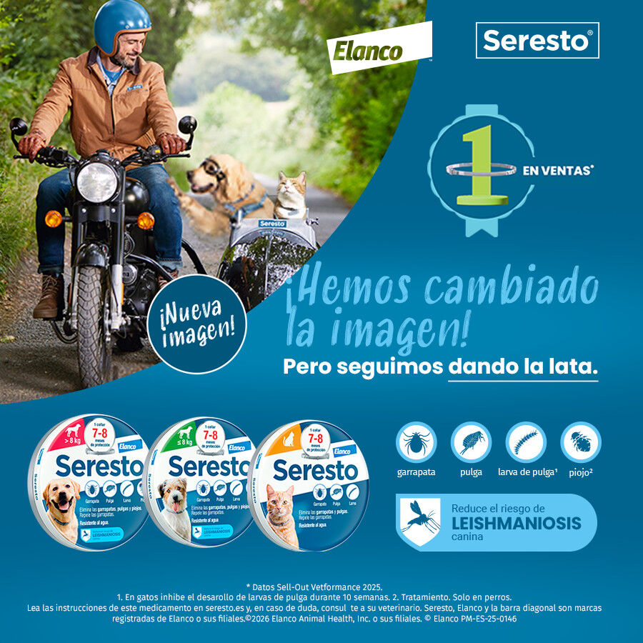 2 collares x 38 cm Seresto Collar Antiparasitario para perros - Pack, , large Imagen numero 2