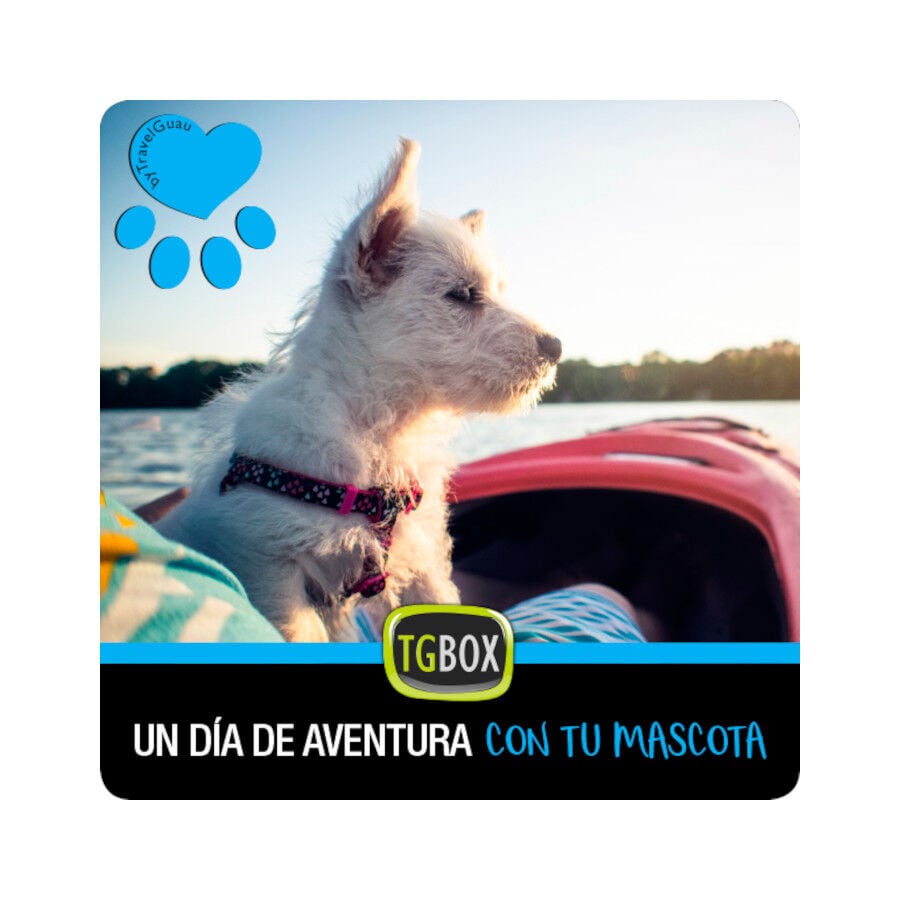 Tgbox Un d&iacute;a de aventura con tu mascota, , large Imagen numero 1