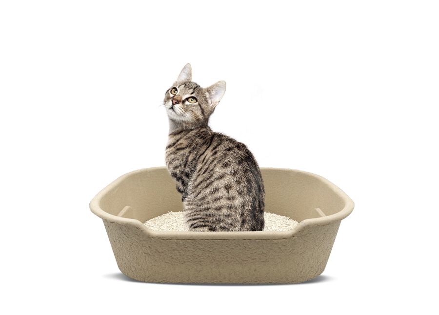 Areneros Descartables para Gato (Tama&ntilde;o L-XL) &mdash; Pack de 2 Unidades, , large Imagen numero 3