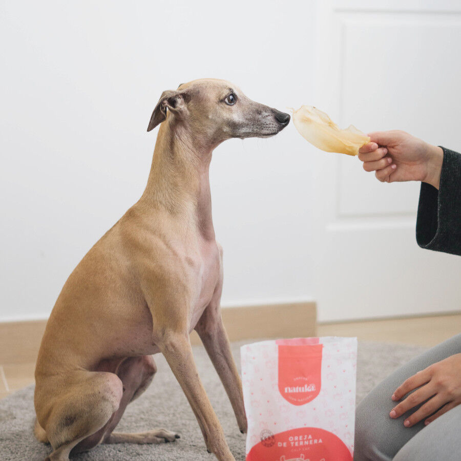 Natuka Oreja de Ternera para perros thumbnail