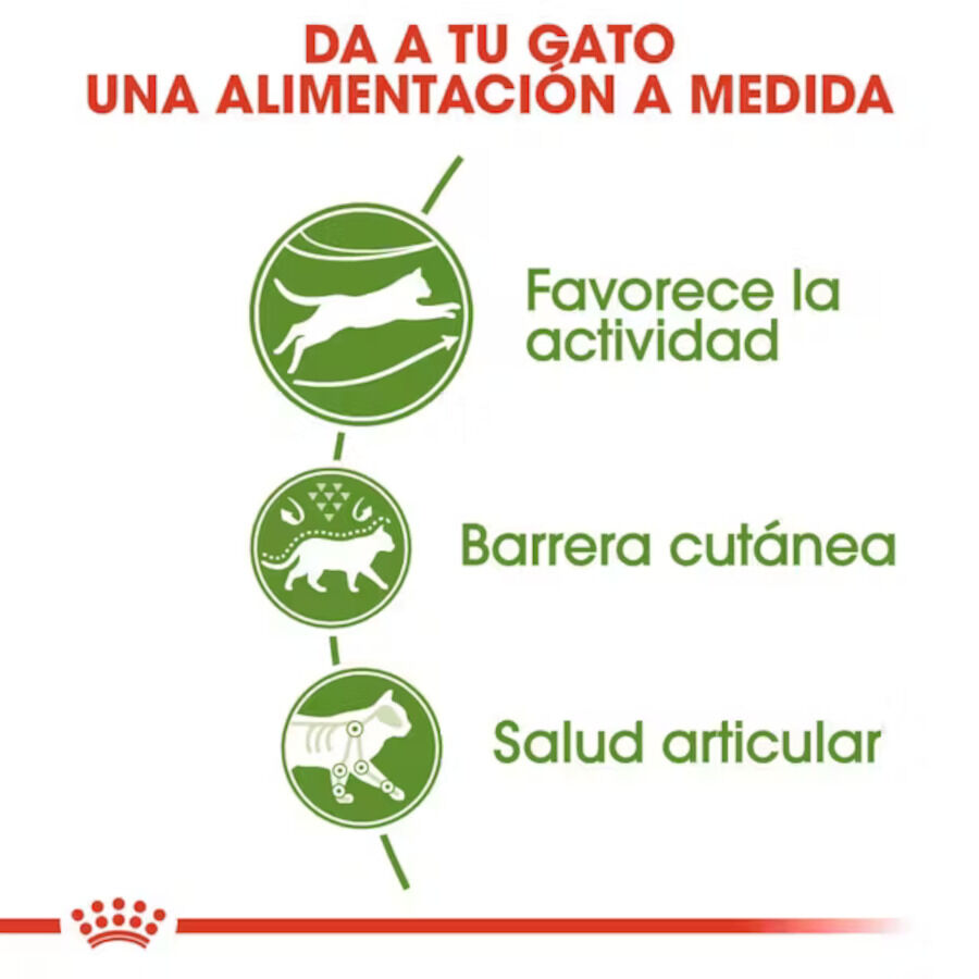 Royal Canin Active Life Outdoor pienso para gatos thumbnail