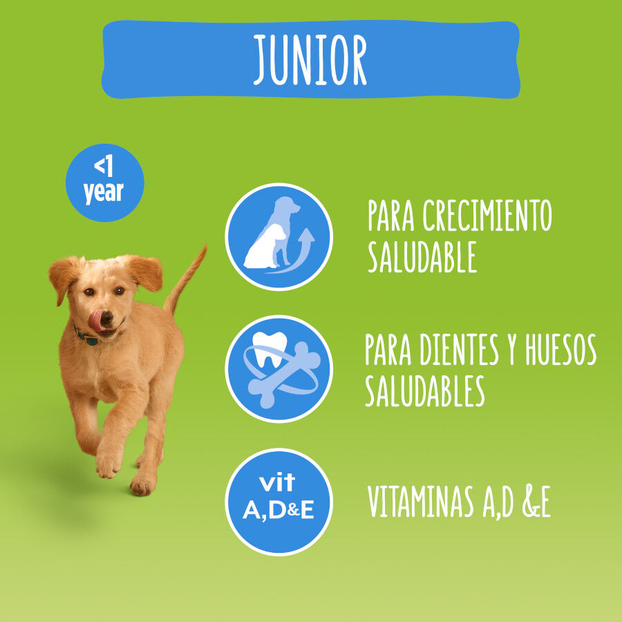 Friskies Junior Pollo y Verduras pienso para perros thumbnail