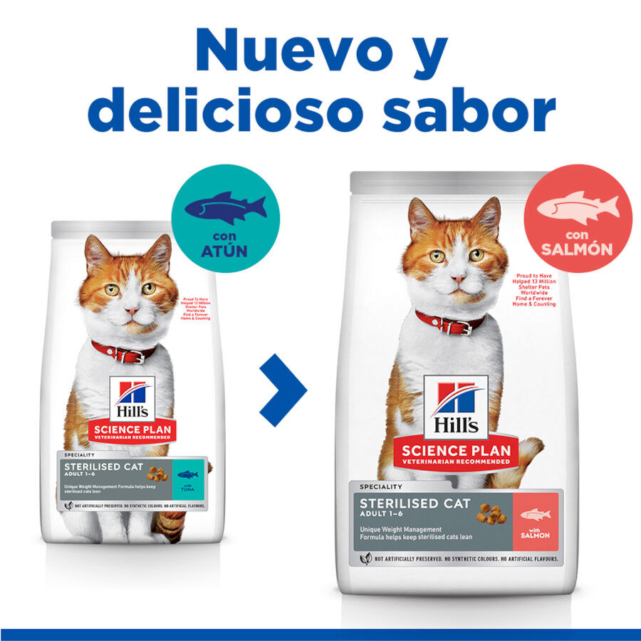Hill&#039;s Science Plan Sterilised Adult Salmón pienso para gatos thumbnail