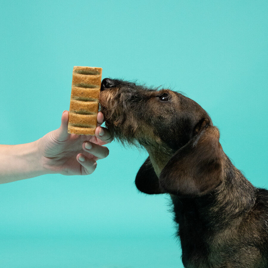 Edgard &amp; Cooper Barritas de Manzana y Arándanos snack para perros thumbnail