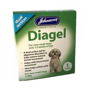 Diagel para problemas intestinales para perros pequeños