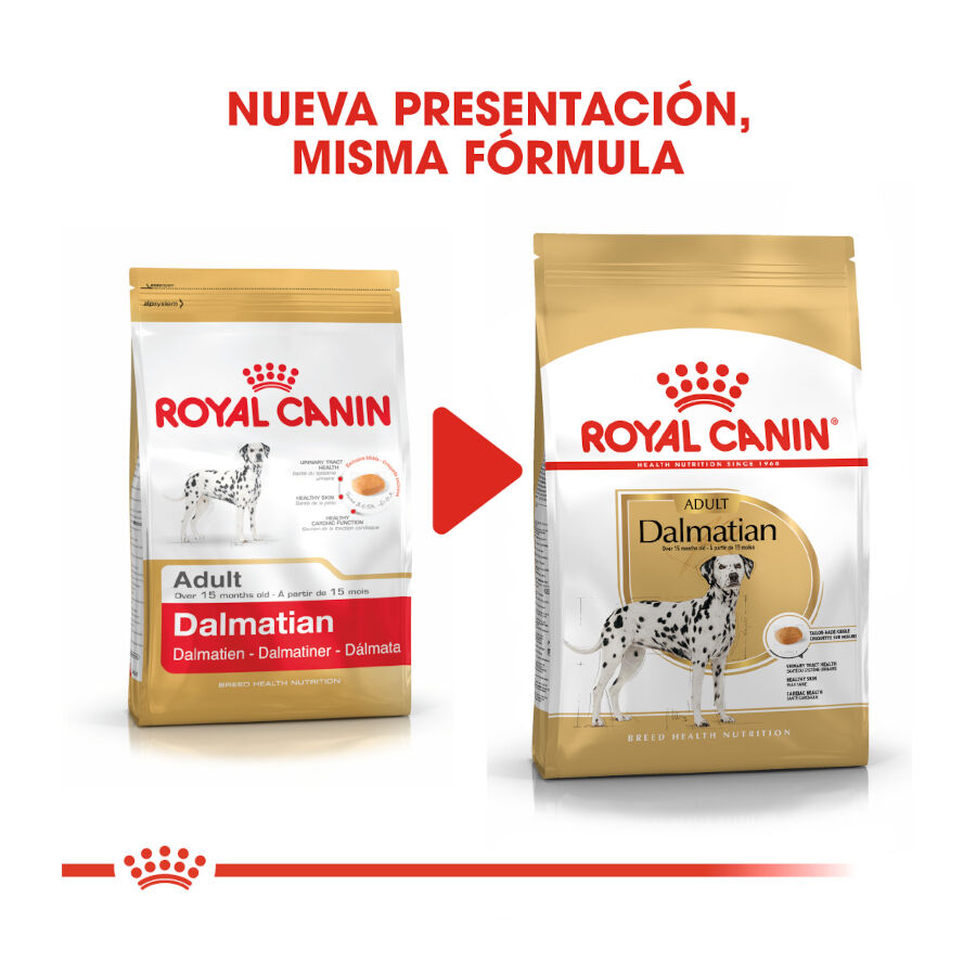 Royal Canin Adult Dálmata pienso para perros thumbnail