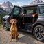 Outech X-perience Transportin Tela Plegable para perros, , large indicador imagen numero 2