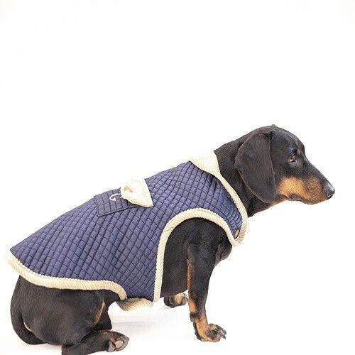 Chaqueta reversible Gaston para perros color Azul, , large Imagen numero 4