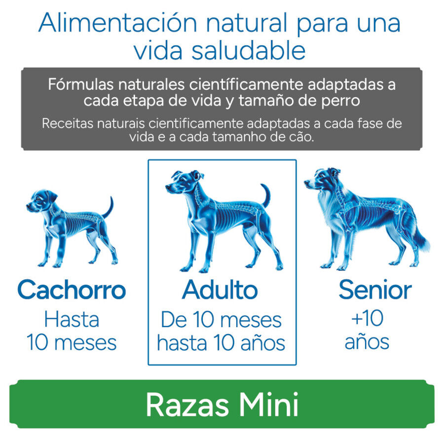 Criadores Cient&iacute;fico Light -46% contenido graso Adulto Mini Pienso Pollo para perros, , large Imagen numero 11