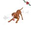 Wonder Christmas Hueso con Cuerda Juguete para perros, , large indicador imagen numero 1