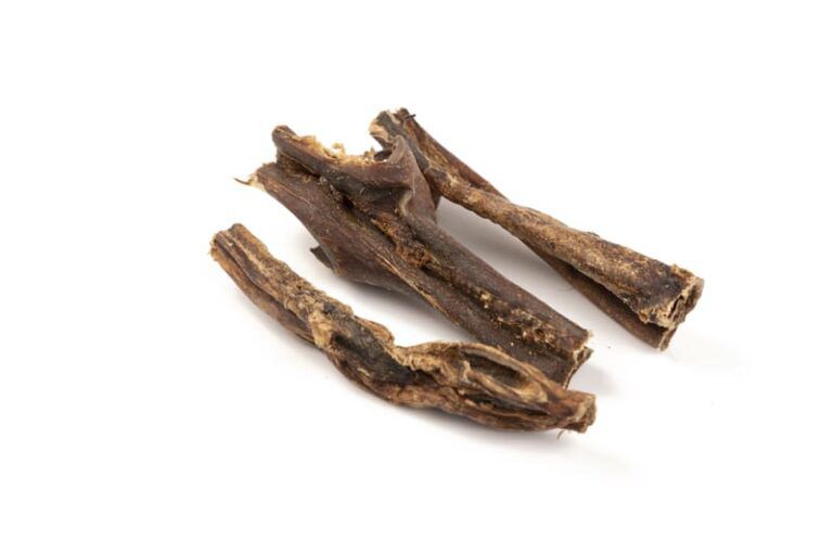 BIMORDISCOS Tripas de vaca para perros y gatos, , large Imagen numero 2