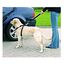 Trixie Arnés de Coche para perros, , large indicador imagen numero 2