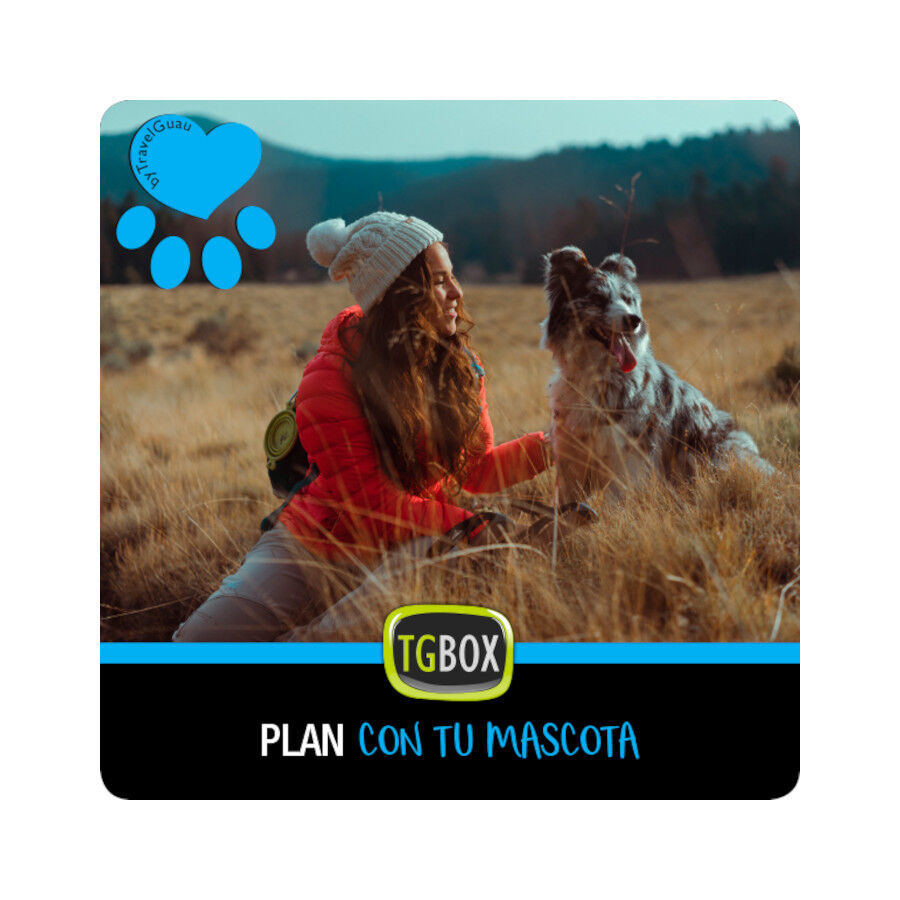 Tgbox Plan con tu mascota, , large Imagen numero 1