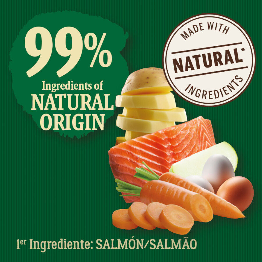 2 kg True Origins Wild Adult Pacific Salm&oacute;n pienso para gatos, , large Imagen numero 3