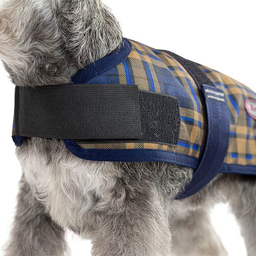 Capa + Trendy Breathe Comfort Prusia CAPA +TRENDY BREATHE COMFORT PRUSIA 35CM, , large Imagen numero 3
