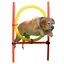 Set de entrenamiento para perros color Rojo y Amarillo, , large indicador imagen numero 3