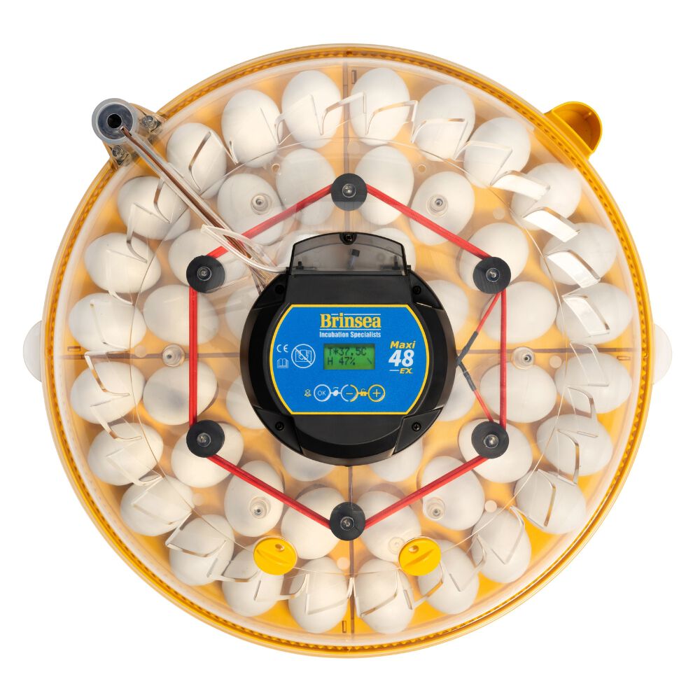 Incubadora BRINSEA Maxi 48 EX - Incubadora para 48 Huevos de gallina - Apta para Diferentes Especies o tama&ntilde;os de Huevos - Fabricaci&oacute;n Europea, , large Imagen numero 3