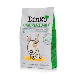 Dingo Pollo pienso para perros