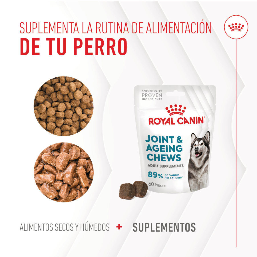 Royal Canin Joint &amp; Ageing Chews Suplemento Nutricional para perros con sensibilidad articular thumbnail