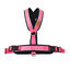 Arnés Reflectante Anti-Tirones en Forma "Y"- Ideal para Lebreles: Galgo Italiano, Whippet, Galgo, Podenco - Seguro, Transpirable y Duradero - Perfecto para Caminar, Entrenar y Correr - ROSA, XXL, , large indicador imagen numero 26