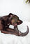 BIMORDISCOS Box NATURE LOVERS Pack de Astas para Perros y Cuernos para Perros, , large indicador imagen numero 3