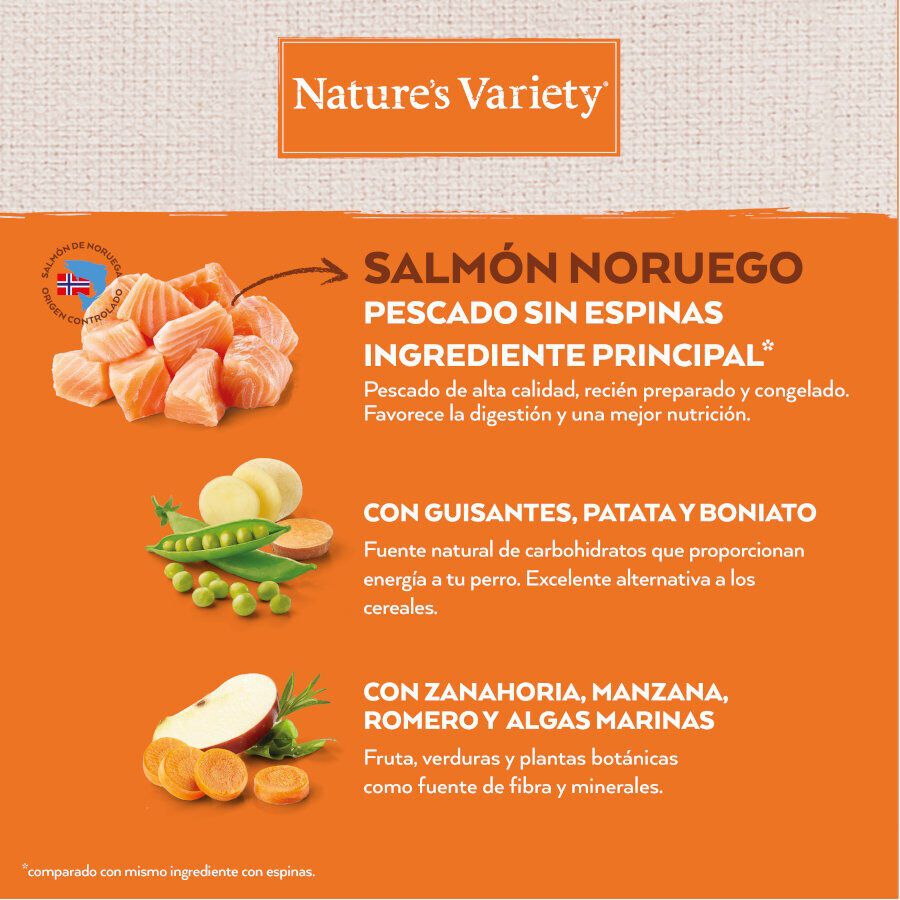 Nature&#039;s Variety No Grain Puppy Mini Salmón Noruego pienso para cachorros thumbnail
