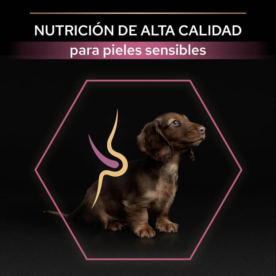 Pro Plan Puppy Small y Mini Salmón pienso para Perros Piel thumbnail