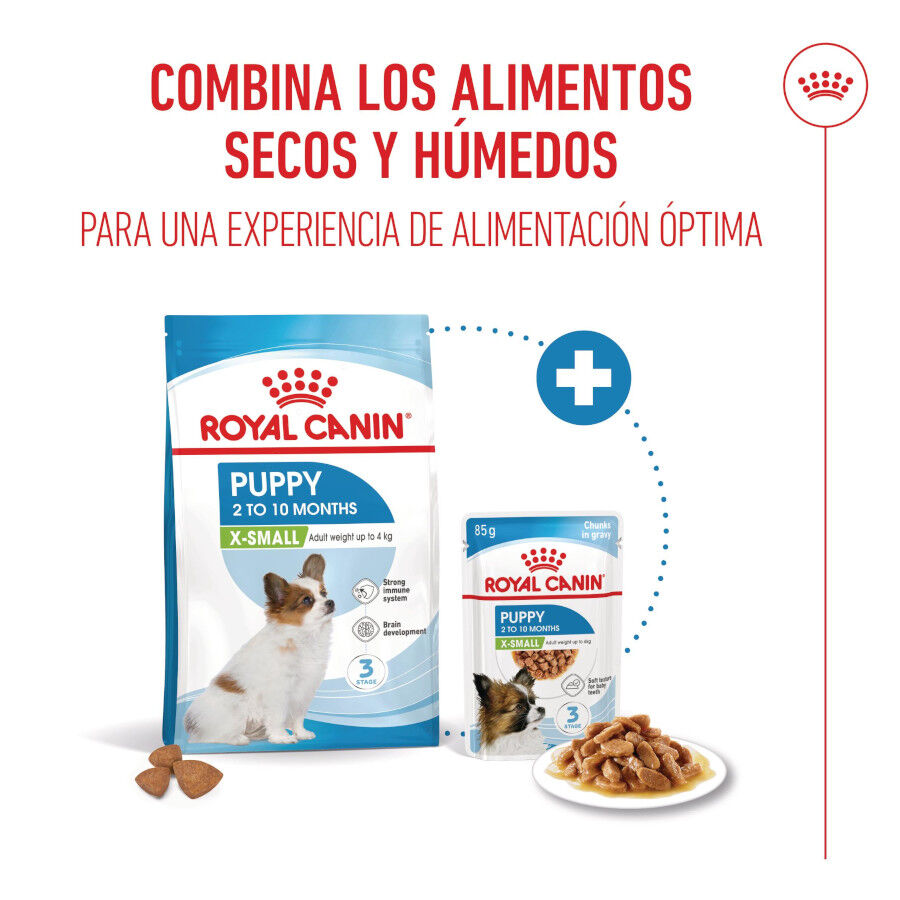 Royal Canin X-Small Puppy pienso para perros thumbnail