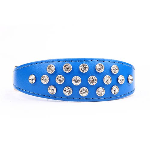 Collar piel Exclusive Cristal COLLAR EXCLUSIVE AZUL TALLA 4, , large Imagen numero 4