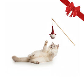 Wonder Christmas Juguete de Caña Santa Navideño para gatos