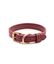 Collar Cuero Vegano, Jala, , large indicador imagen numero 1