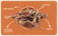 BAFFS Naturals Nervio de Cordero Deshidratado - Snack Natural para Perros, , large indicador imagen numero 5