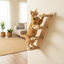 Althea Living - Escaleras de Escalada para Gatos Salitre, , large indicador imagen numero 3