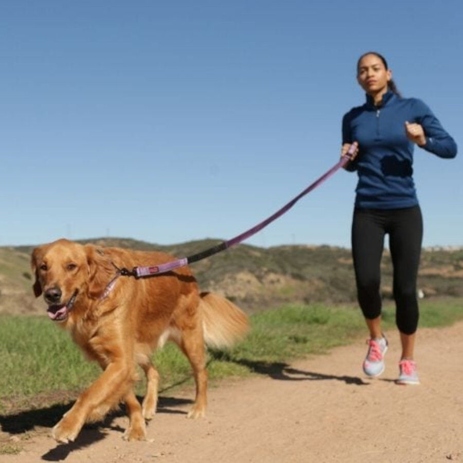 Halti correa de canicross acolchada roja para perros, , large Imagen numero 2