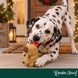 Wonder Christmas Capibara L&aacute;tex Peluche para perros