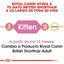 10 kg Royal Canin British Shorthair Kitten pienso para gatos, , large indicador imagen numero 4