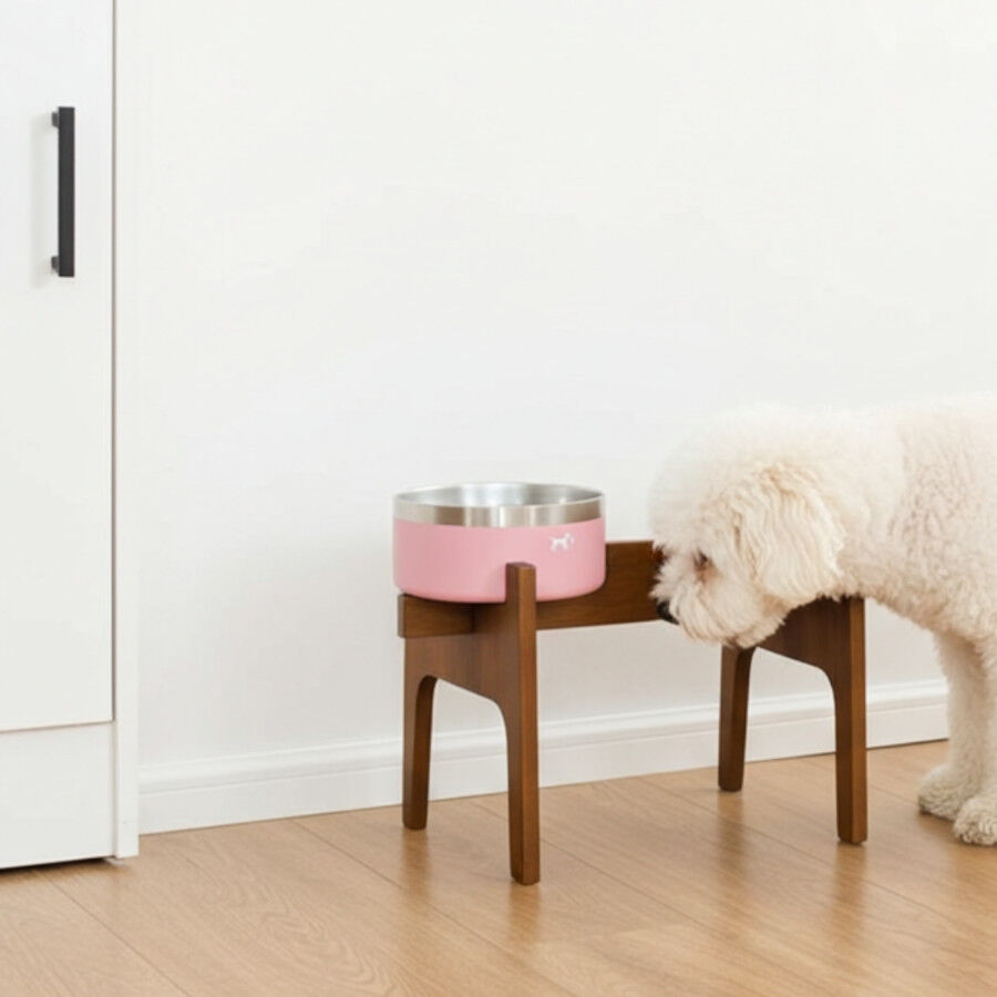 Comedero Alto Doble para Perros y Gatos | Dise&ntilde;o Ergon&oacute;mico, 2 Alturas Disponibles, Antideslizante y Varios Colores - La Casa de Turr&oacute;n, , large Imagen numero 2