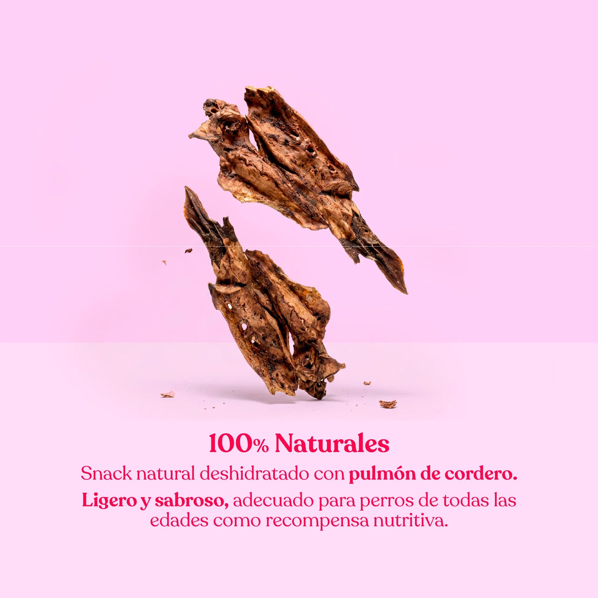 dr. bimix Pulmones de Cordero para Perros Snack Natural 100g, , large Imagen numero 3