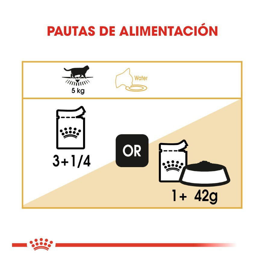 Royal Canin Sobre en Salsa British Shorthair Adult thumbnail