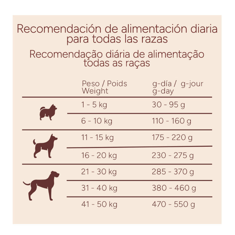 10 kg Criadores Monoproteico Adulto con Pollo pienso para perros, , large Imagen numero 10