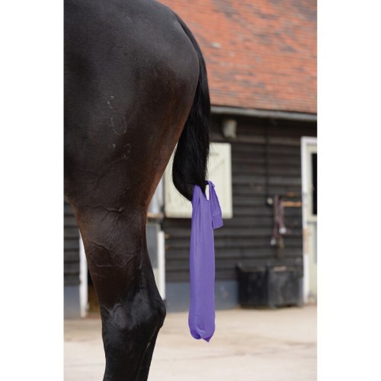 Funda de lycra Weatherbeeta para caballos color Púrpura, , large image number null