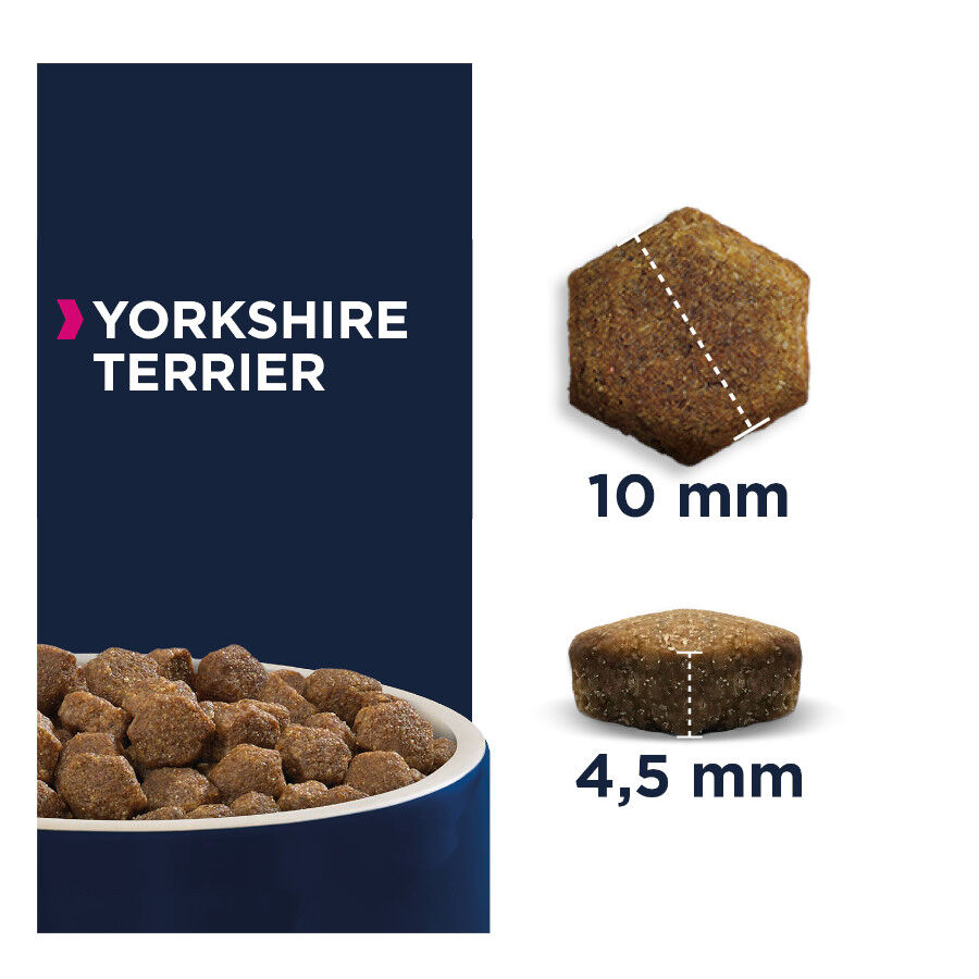 Eukanuba Adult Yorkshire Terrier pienso para perros thumbnail