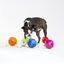 Rogz tumbler portagolosinas de juguete azul para perros, , large indicador imagen numero 3
