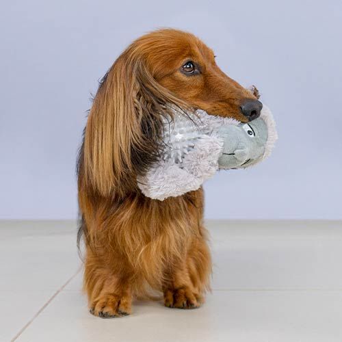 Peluches pelota PELOTA LOBITO IB&Aacute;&Ntilde;EZ, , large Imagen numero 2