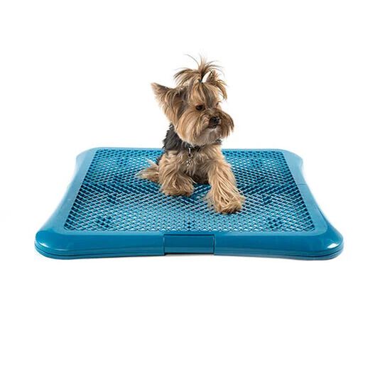TK-Pet bandeja de adiestramiento para perros Imagen numero 1