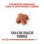 7.5 kg Royal Canin Adult Jack Russell Terrier pienso para perros, , large indicador imagen numero 5