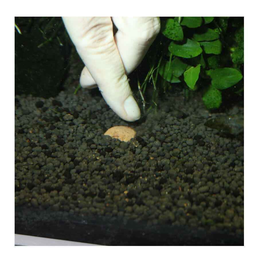 JBL 7 Kugeln Fertilizante para Plantas de acuarios de agua dulce thumbnail