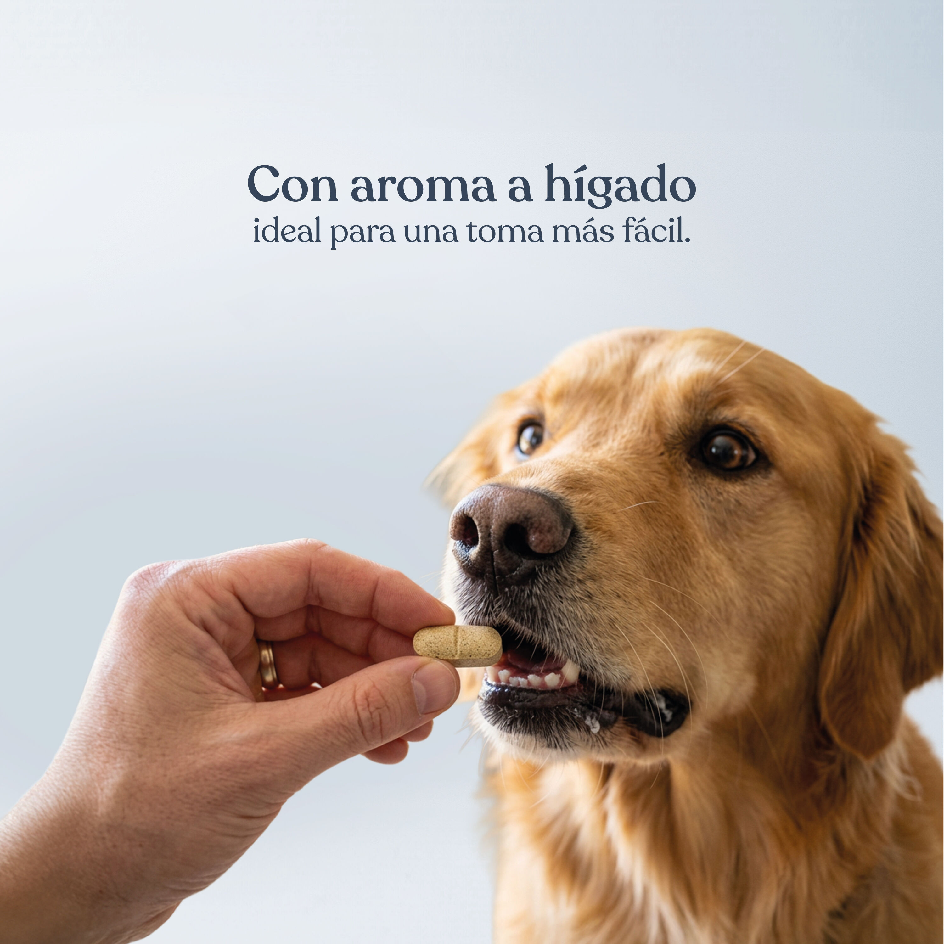 dr.bimix Skinmix para Perros | Snack Funcional para Piel y Pelo, , large Imagen numero 4