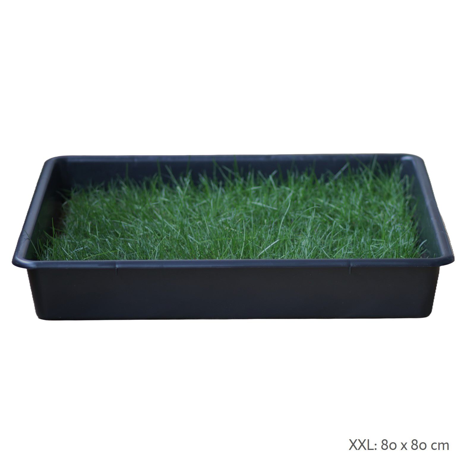 Petground Cama para perros Empapador Alfombra Olfativa Césped Natural